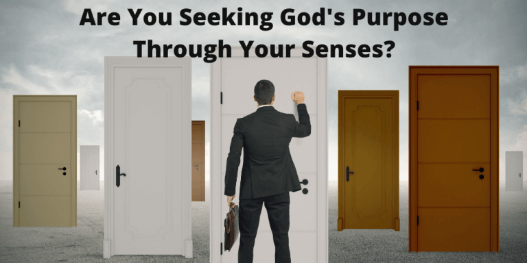 Seek God's Purpose