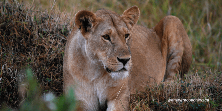 set your daily intentions